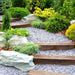 Landscaping timber being used to great effect as brown sleeper steps surrounded by green shrubs