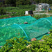 WADE BUILDING SUPPLIES | COVERED ALLOTMENT WITH GREEN MESH TO PROTECT PRODUCE 